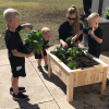 raised planter box