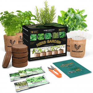 herb garden starter kit