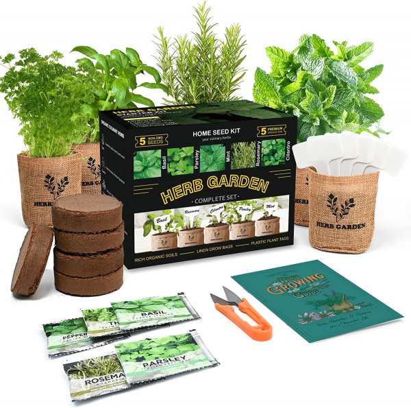 herb garden starter kit