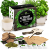 Indoor Herb Garden Starter Kit