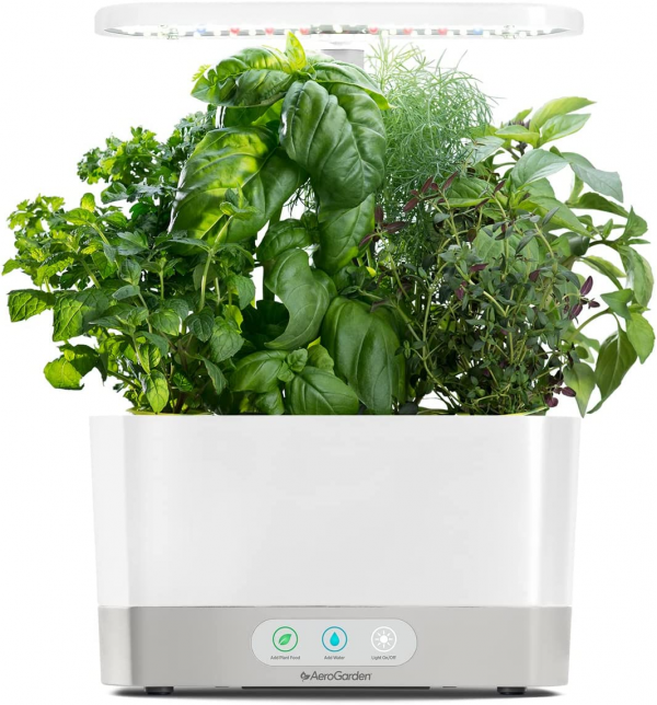 Hydroponic Garden System