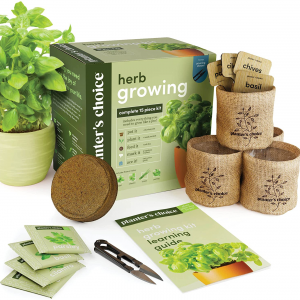 Herb Garden Starter Kit