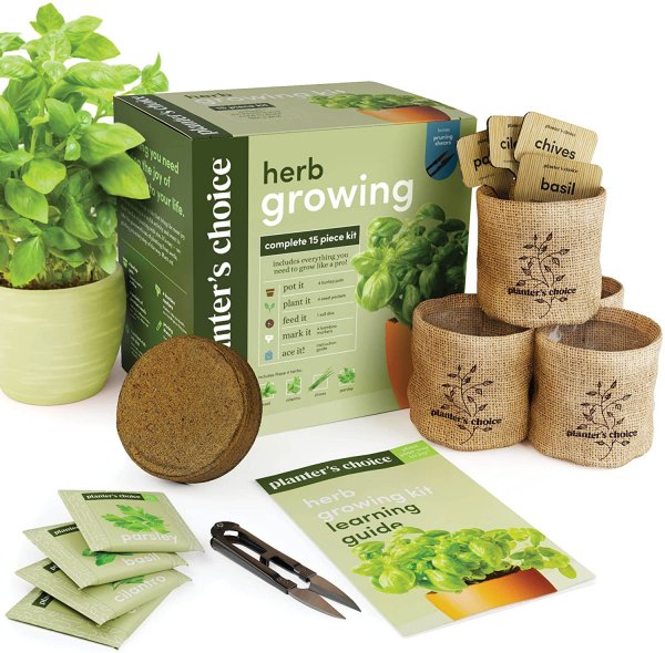 Herb Garden Starter Kit